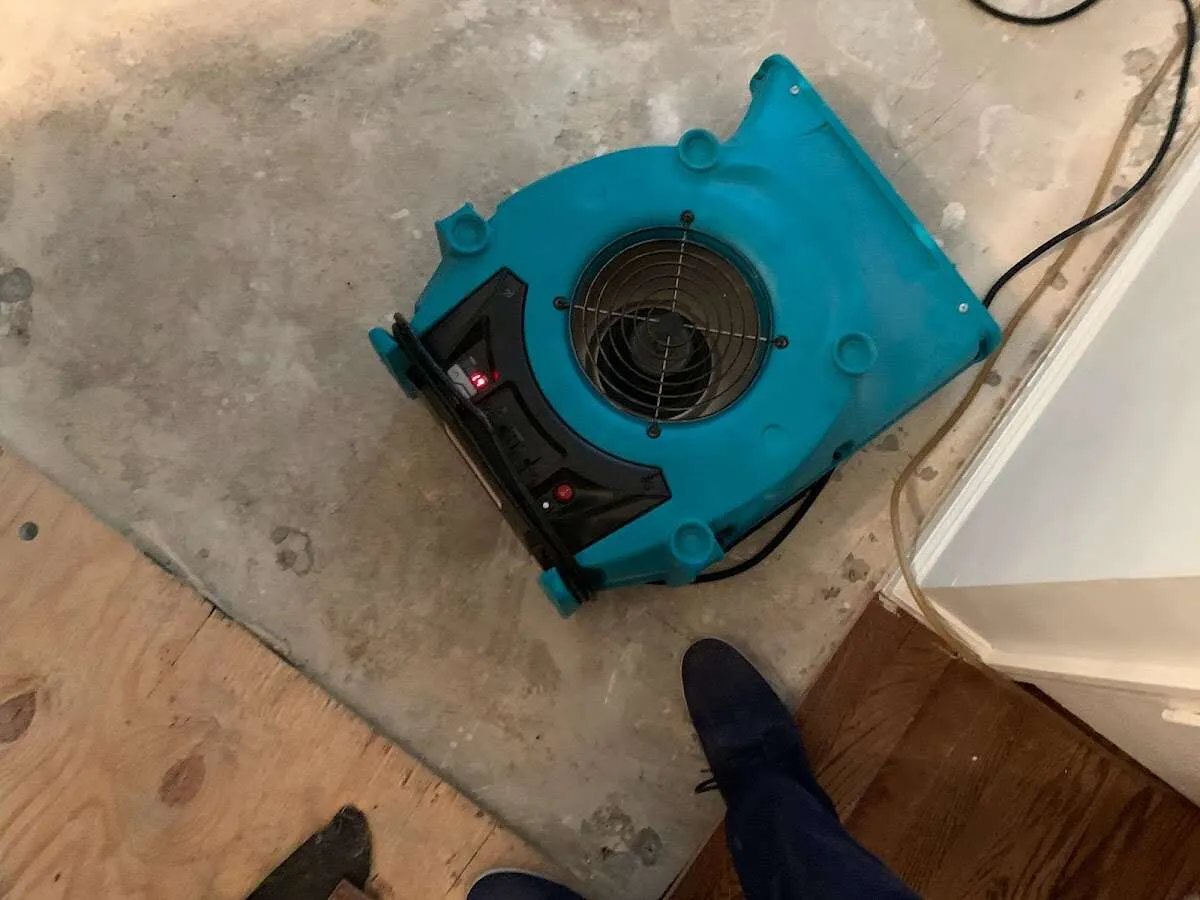 Air mover drying subfloor during Leak Detection & Repair in Hopkins